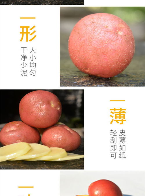 云南红皮黄心洋芋 农家自种的新鲜馈赠