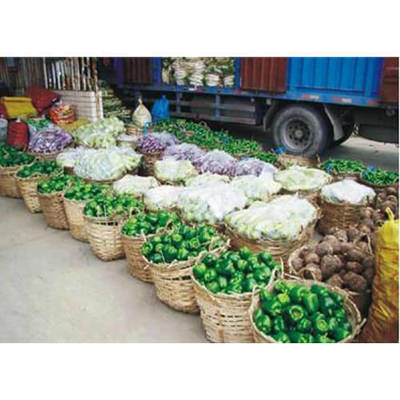 惠州惠城区蔬菜配送公司价格解析，这家蔬菜配送更值得你信赖